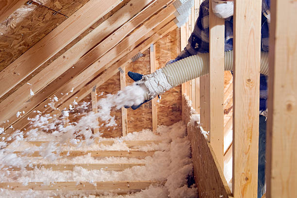 Best Insulation Air Sealing in Mabscott, WV